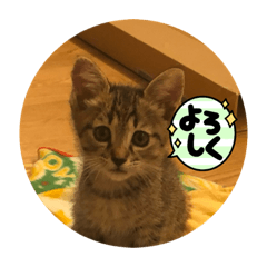 Sakura_20231110171110