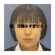 Free_20231110154544