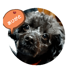 nao_20231110183445