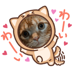 Kana_20231110202948