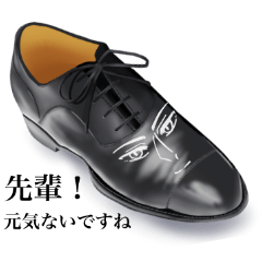 Leather Shoes Junior [Working Adults]