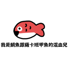 鯛魚跟薩卡班甲魚的混血兒