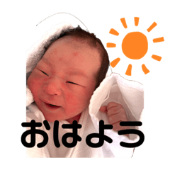 BARA_20231110211053