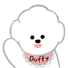 Duffy the Bichon Frise