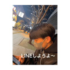 sakura_20231111140654