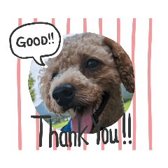 sunny_20231110220744