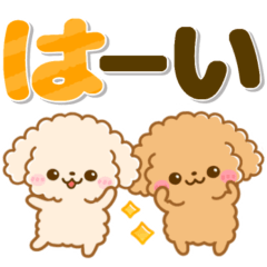 kawaii toypoodle mainichi sticker BIG