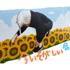 Sakura_20231110201201