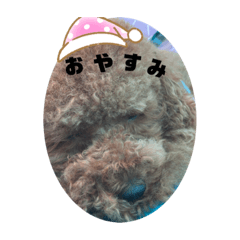 sakura_20231111130402