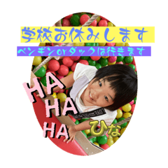 Hachi_20231110225057