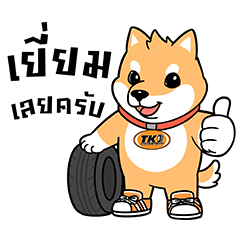 TKC AUTO PLUS β LINE stickers | LINE STORE