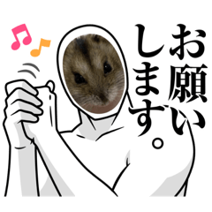 shinoman_20231111142323