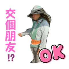 麗明no.1