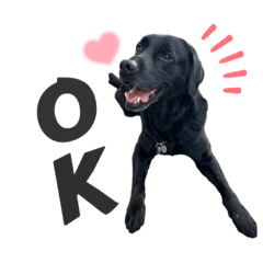 NsoraN_20231111151433