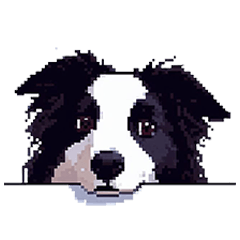 pixel art Border collie dog