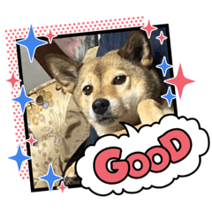 yuuko_20231111192028