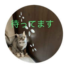 watyawgmgmt_20231111160447