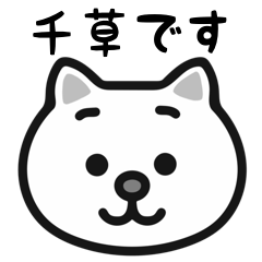 Chigusa cat sticker