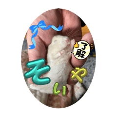 omochi_20231112080243