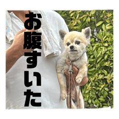 Ryuki_20231112144532