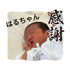 harubabysticker