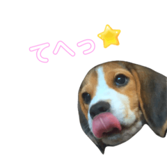 kana_20231112153709