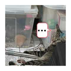 短短～日記2
