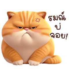 Orange cat gang Funny chat V.2 : Chubby