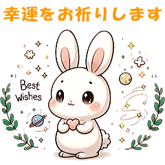 Adorable Rabbit's Daily Life