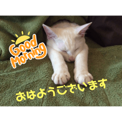 aokin_20231112173937