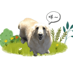 Cute dooooog_20231112234623 – LINE stickers | LINE STORE