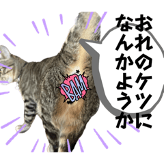 china_sutannpuuu_20231112183602