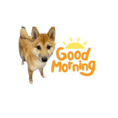 NATSUMI_20231112200742