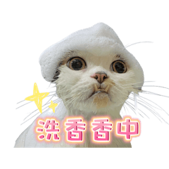 宅比比 – LINE貼圖 | LINE STORE