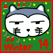 A cat whose name is Fujio 14.