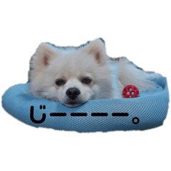 Chisa_20231111132632