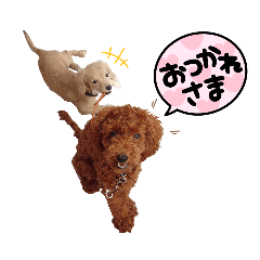 chan_20231112225842