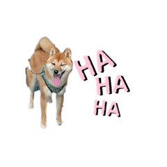 NATSUMI_20231113081130