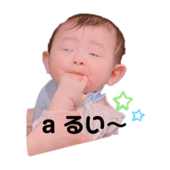 tanuki_20231113084331