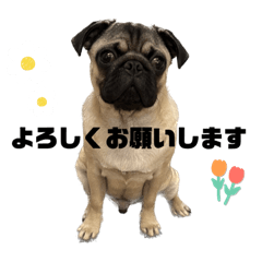 natsuki_20231112224847