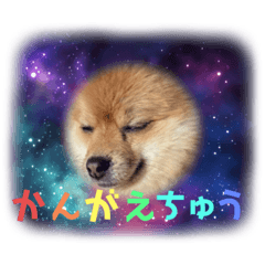 yuka_20231112224957