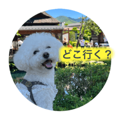 Tarugi_20231113130355