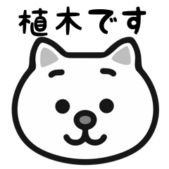 Ueki cat sticker