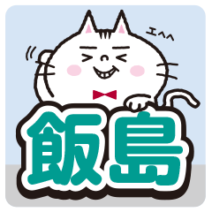 Iijima's sticker..