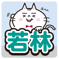 Wakabayashi's sticker..