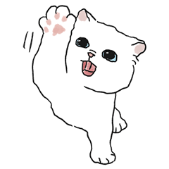 oba cat6 - white cat sticker