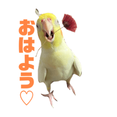 chocomint_20231112230006