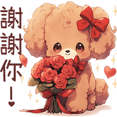Red Toy Poodle (Chinese)