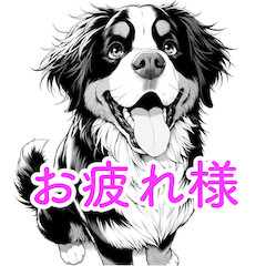 Manga Bernese Mountain Dog