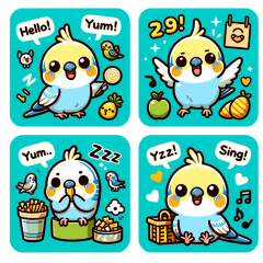 The daily life of a budgie